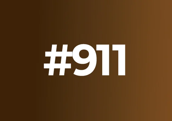 911 Каштан теплый