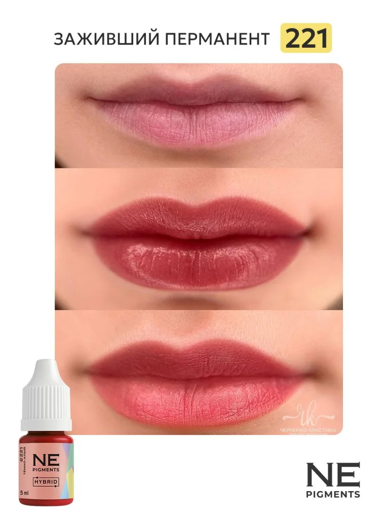 Пигмент для губ #221 Темно-алый