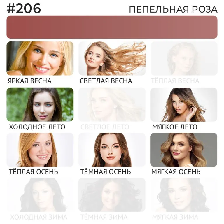 Пигмент для губ #206 Пепельная роза