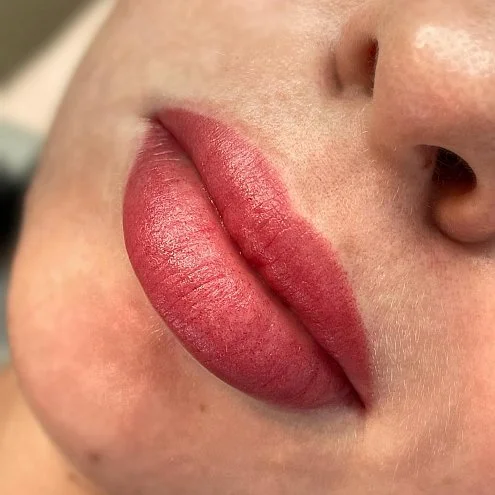 Пигмент для губ #203 Бордо