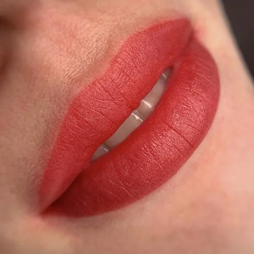 Пигмент для губ #221 Темно-алый