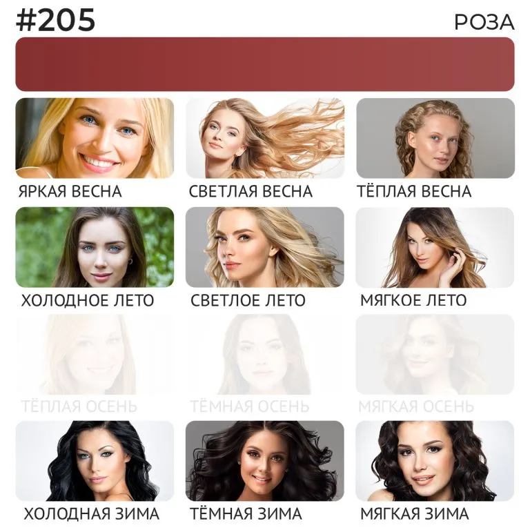 Пигмент для губ #205 Роза