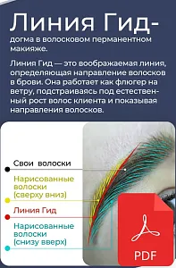 PDF "Линия гид"